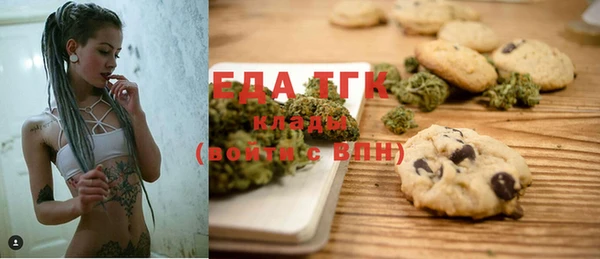 PSILOCYBIN Алзамай