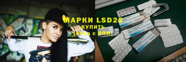 PSILOCYBIN Алзамай