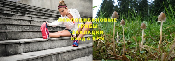 PSILOCYBIN Алзамай