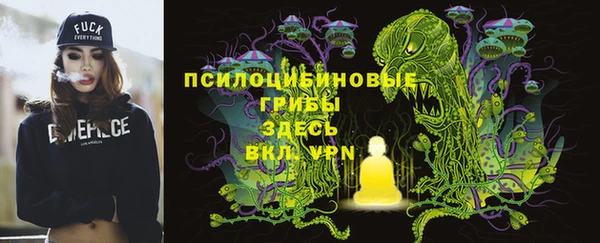 меф Алексин