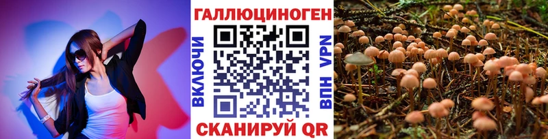 Псилоцибиновые грибы Cubensis  где купить наркоту  Полярные Зори 